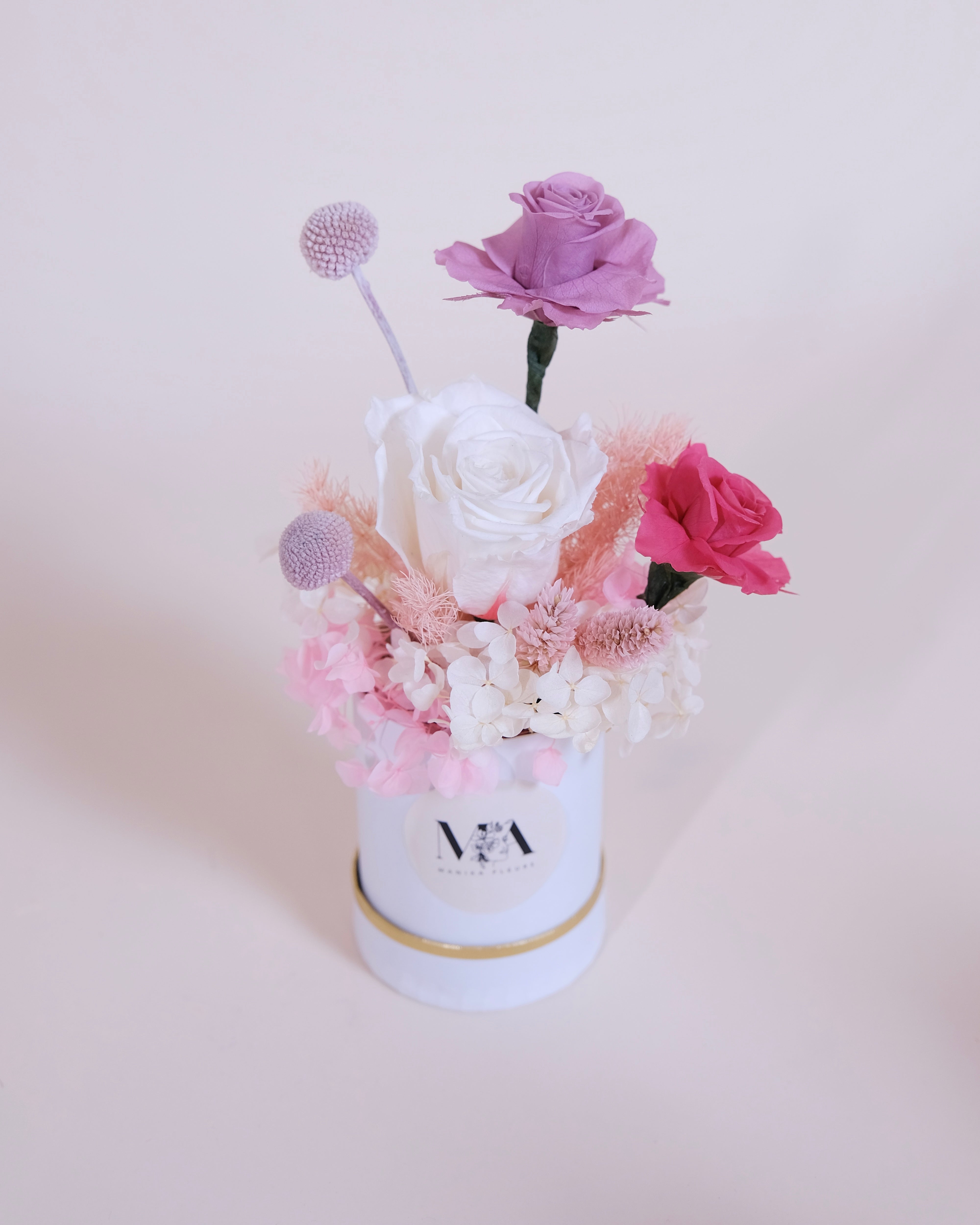 Cappelliera Senorita II