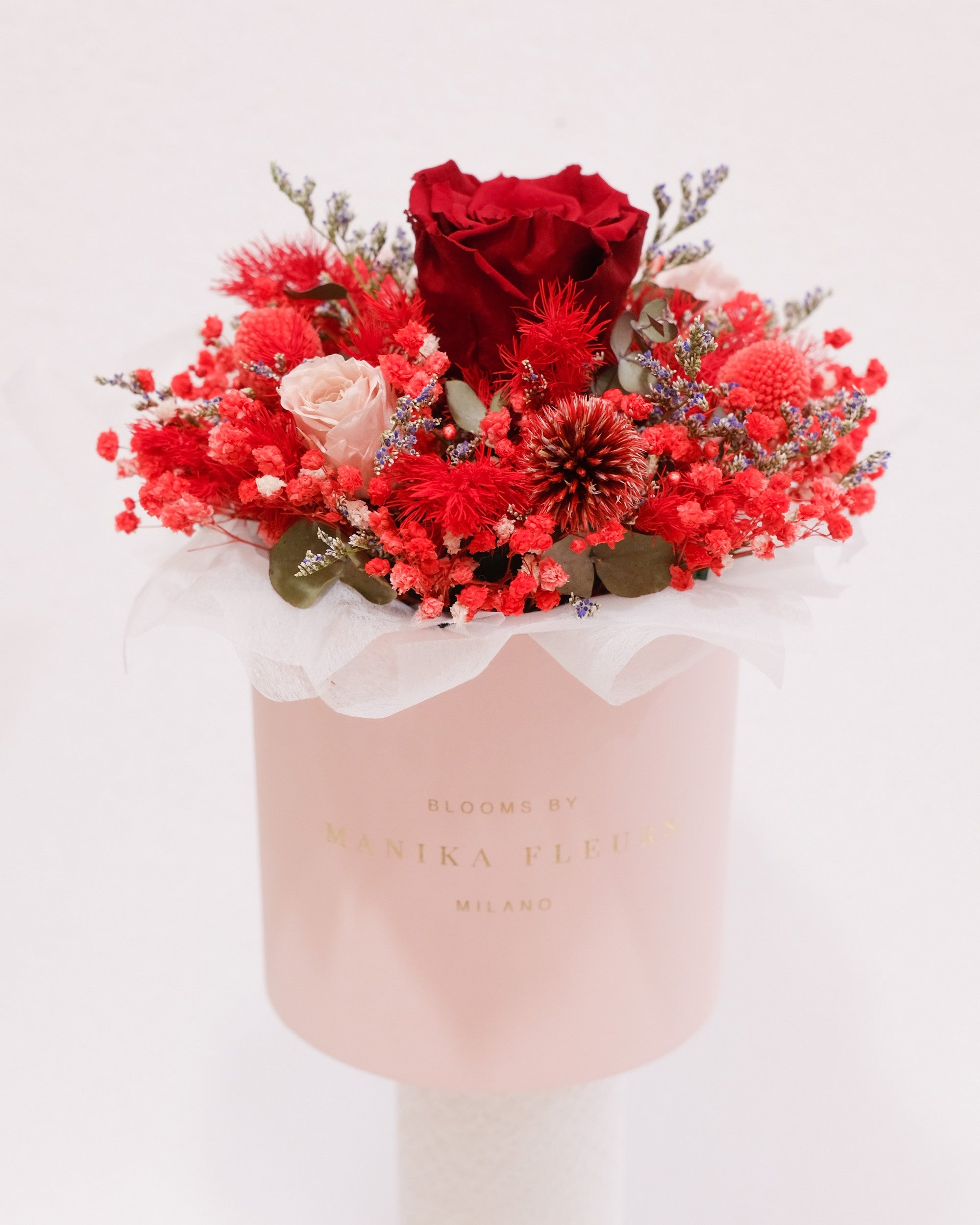 Cappelliera Brigette