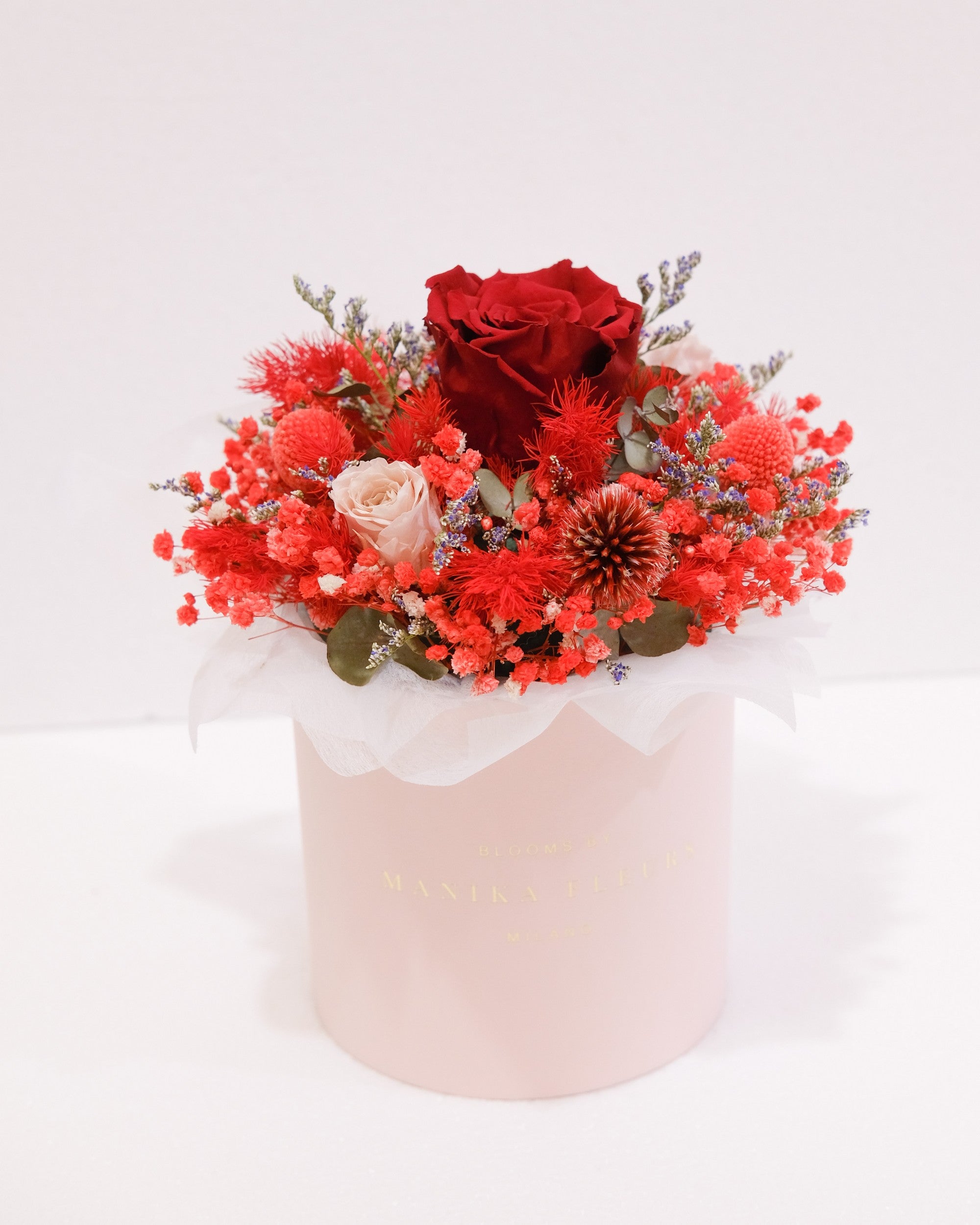 Cappelliera Brigette