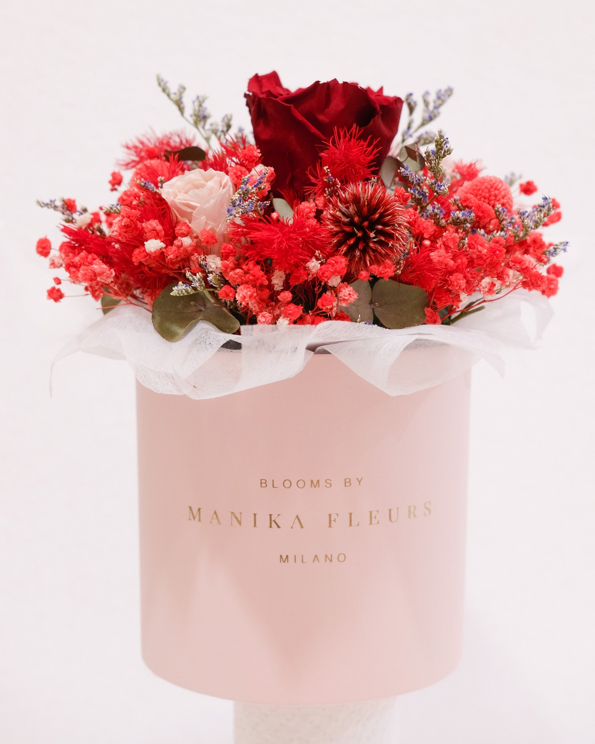 Cappelliera Brigette