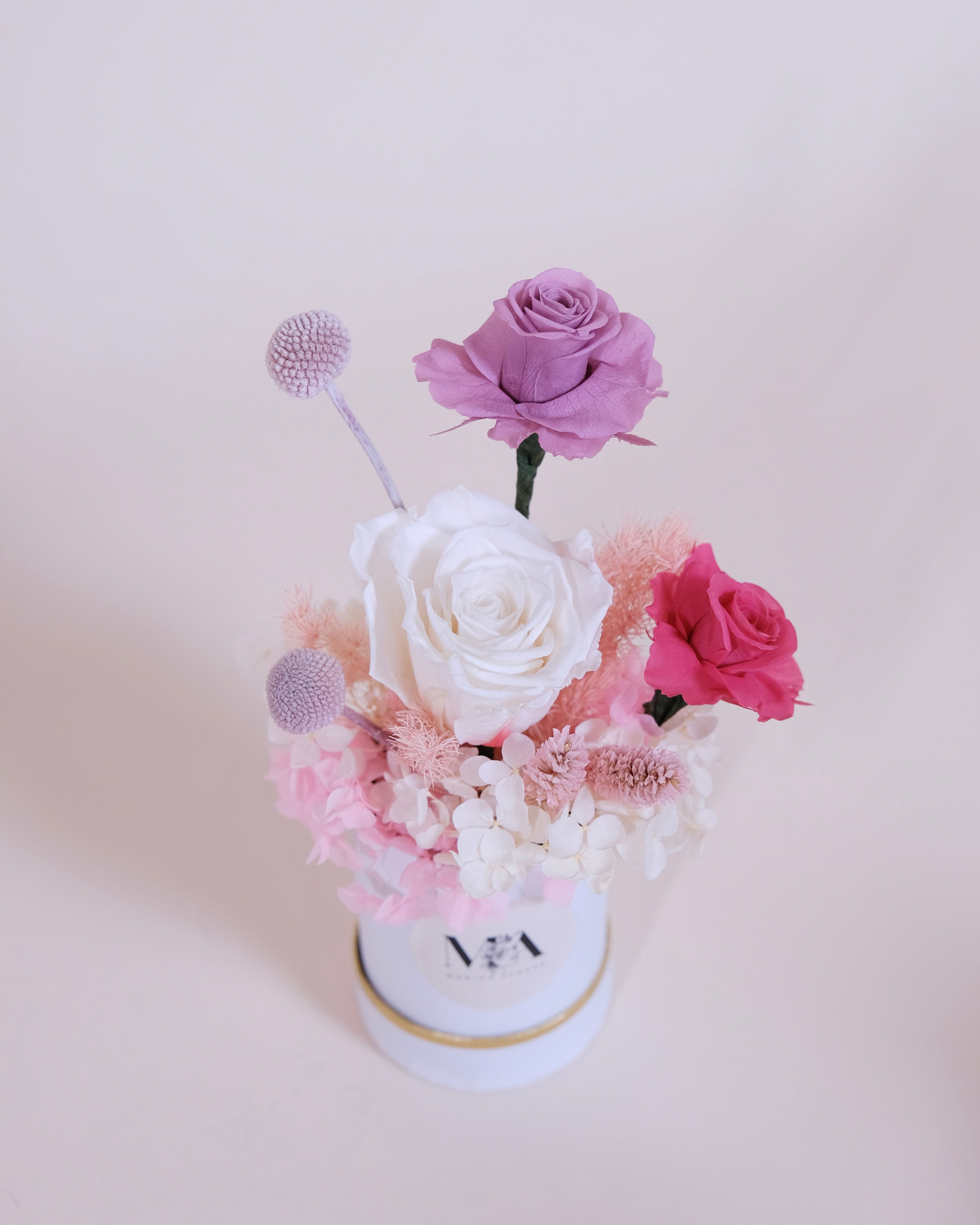 Cappelliera Senorita II