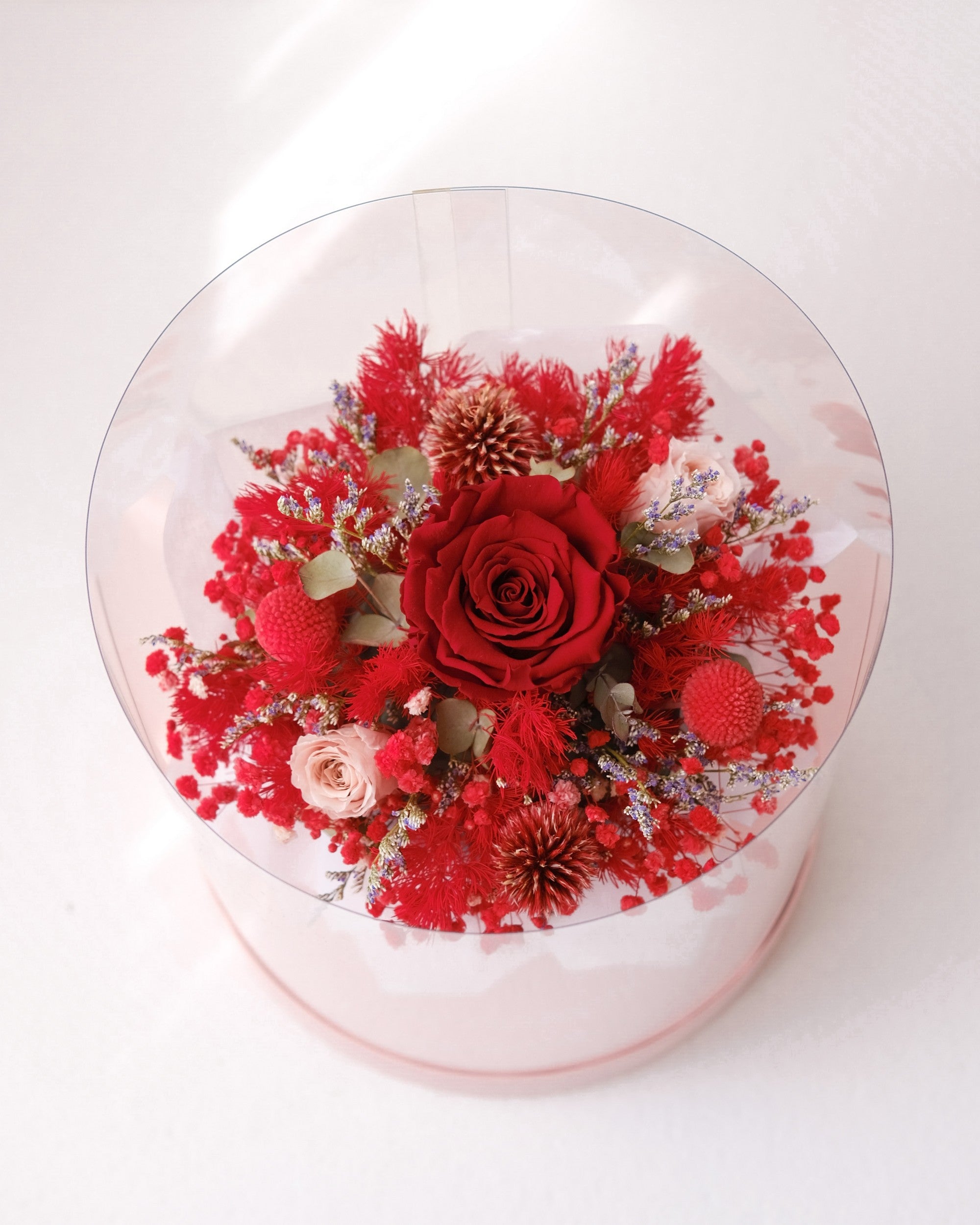 Cappelliera Brigette