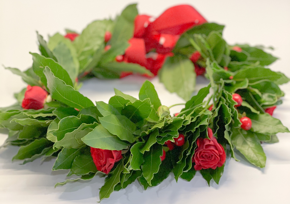 Crown Degree Passion 